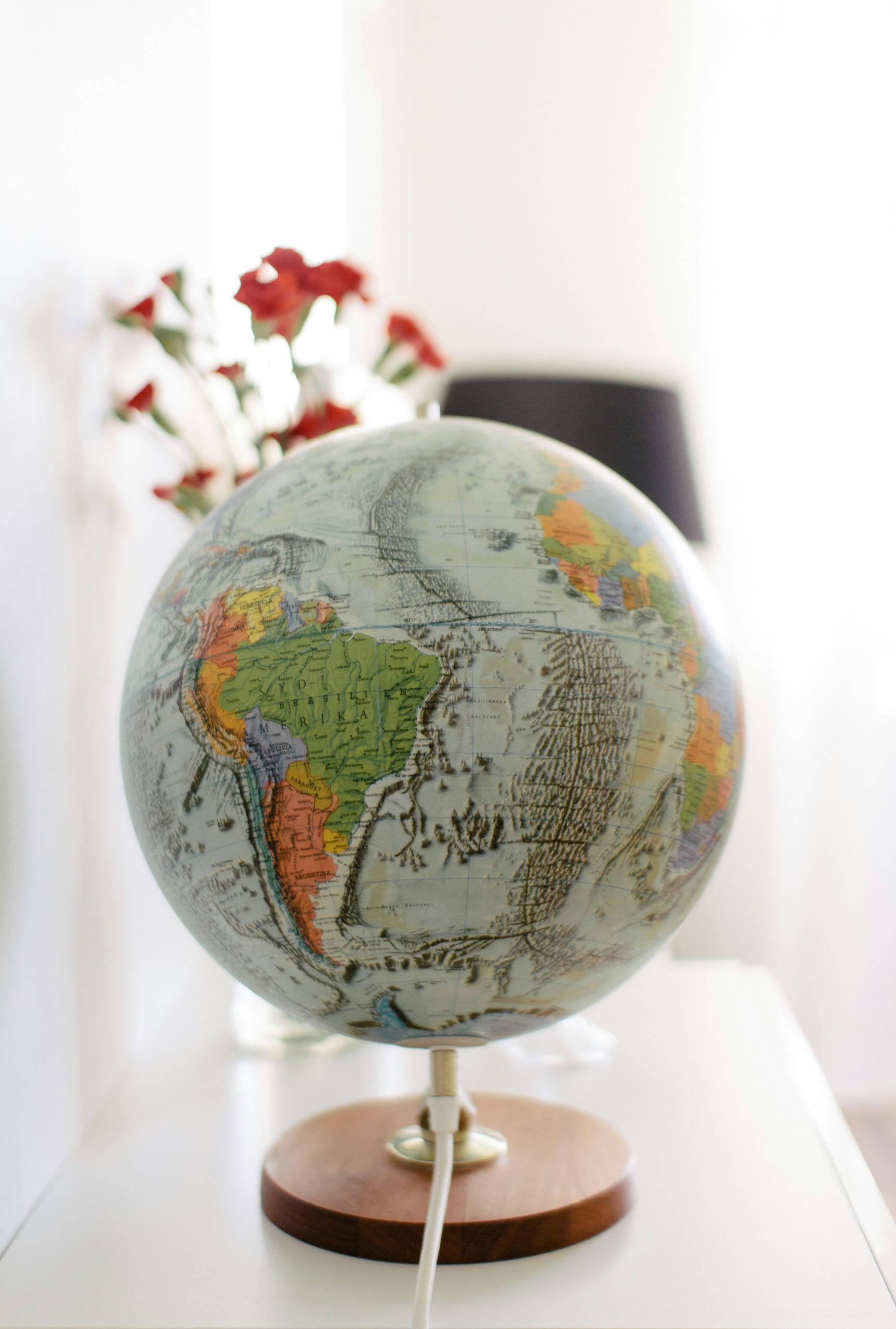 Globo terraqueo mundo rompecabezas 3d